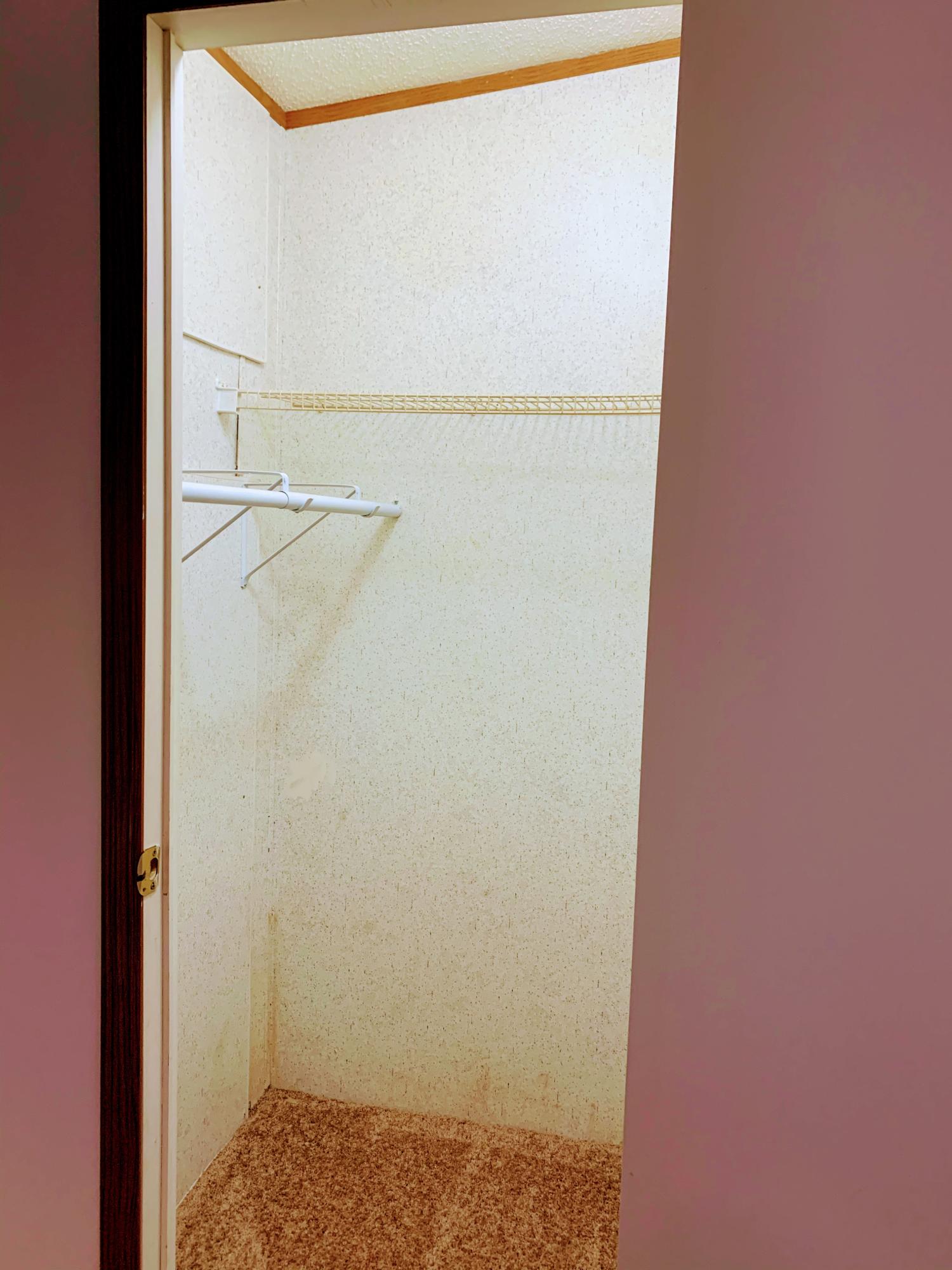 260 Quillen Shell Road Greeneville, TN 37745 - Photo 28 of 32 Master closet 2