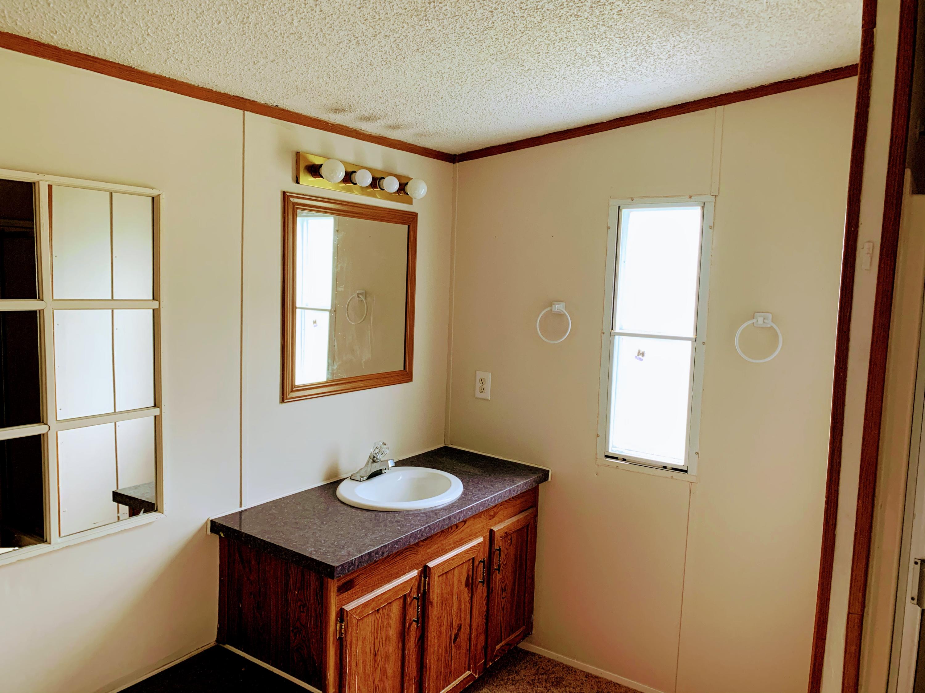 260 Quillen Shell Road Greeneville, TN 37745 - Photo 30 of 32 Master bathroom vanity 2