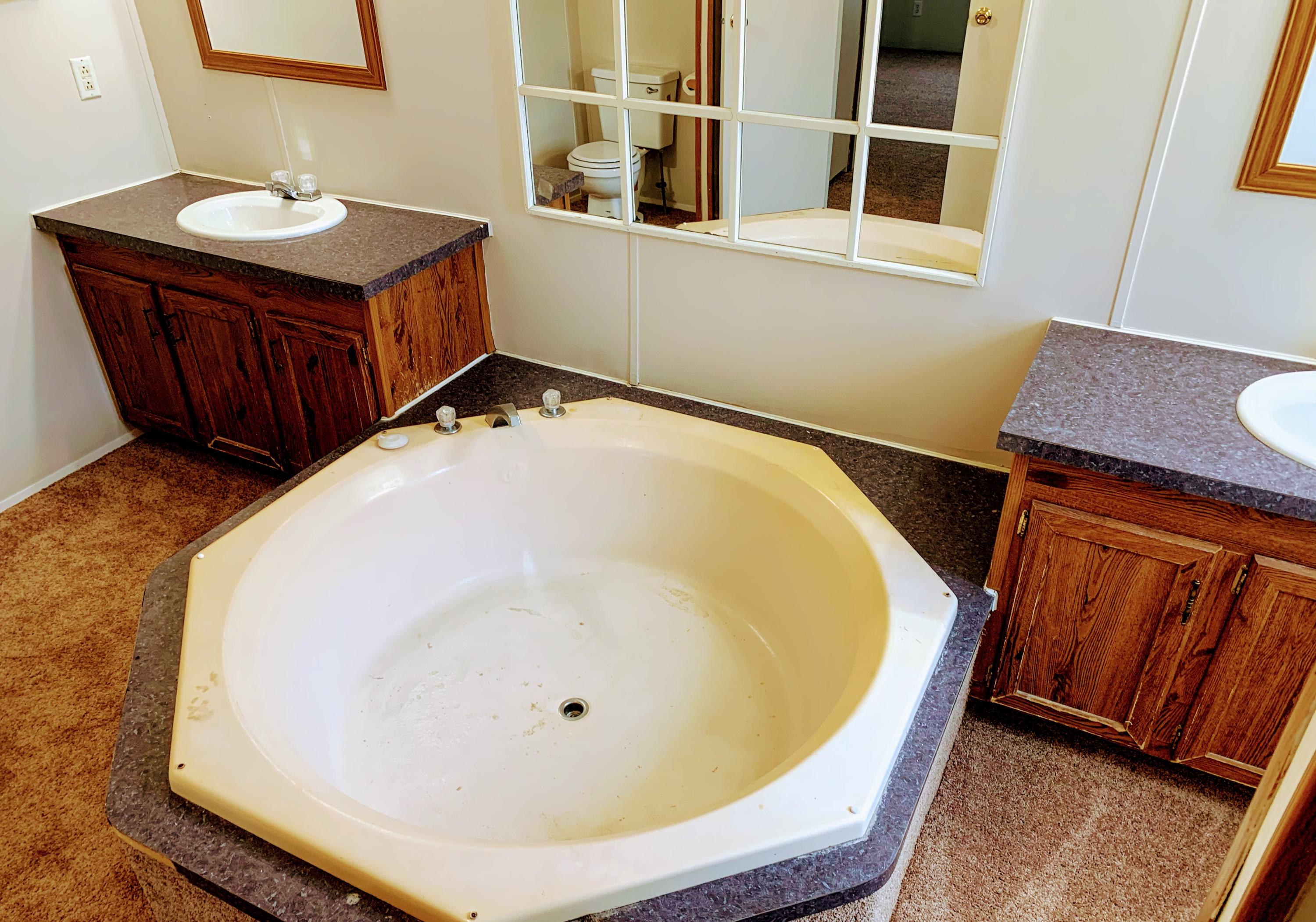 260 Quillen Shell Road Greeneville, TN 37745 - Photo 32 of 32 Master bathroom garden tub