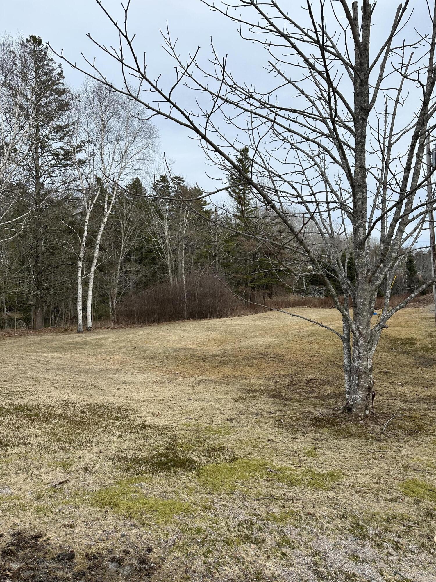 19 Guzzle Road Gouldsboro, ME 04607 - Photo 28 of 32 IMG_4541