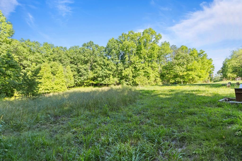 2540 Gatewood Ford Road Deer Lodge, TN 37726 - Photo 25 of 26