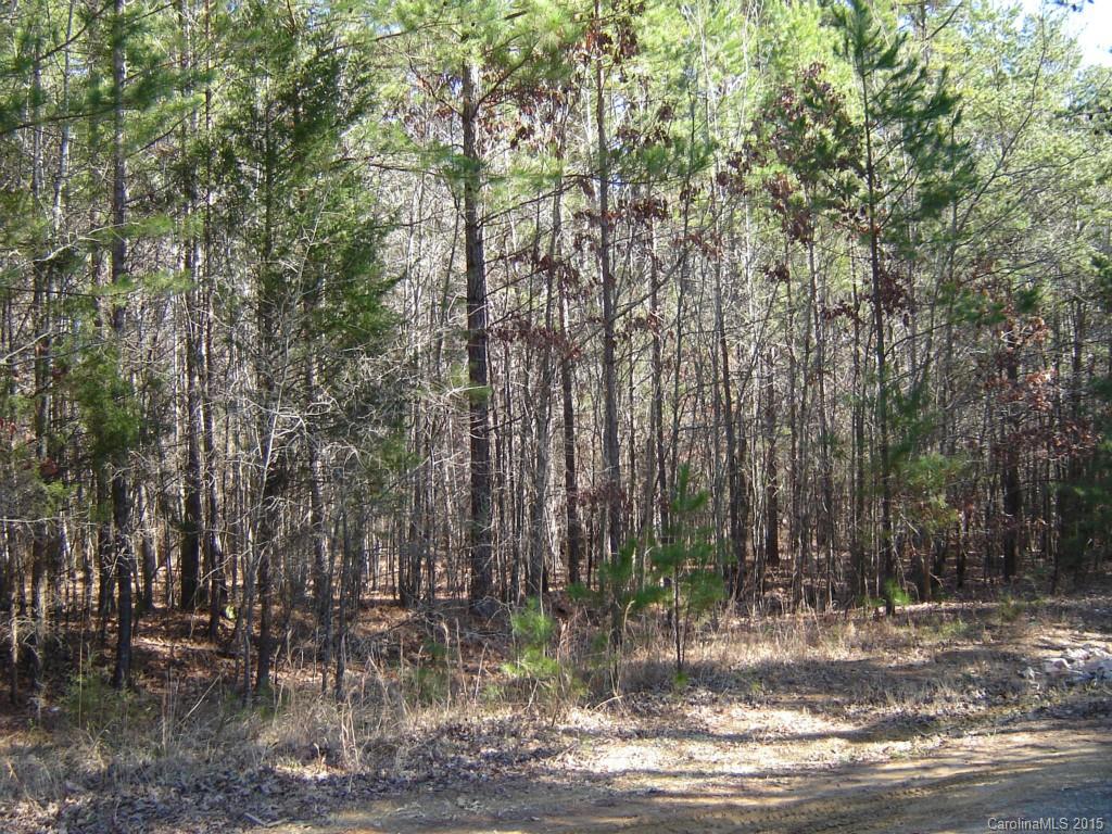 Lot 32 Plainview Road Monroe, NC 28110 - Photo 2 of 9 Gallery Image 2