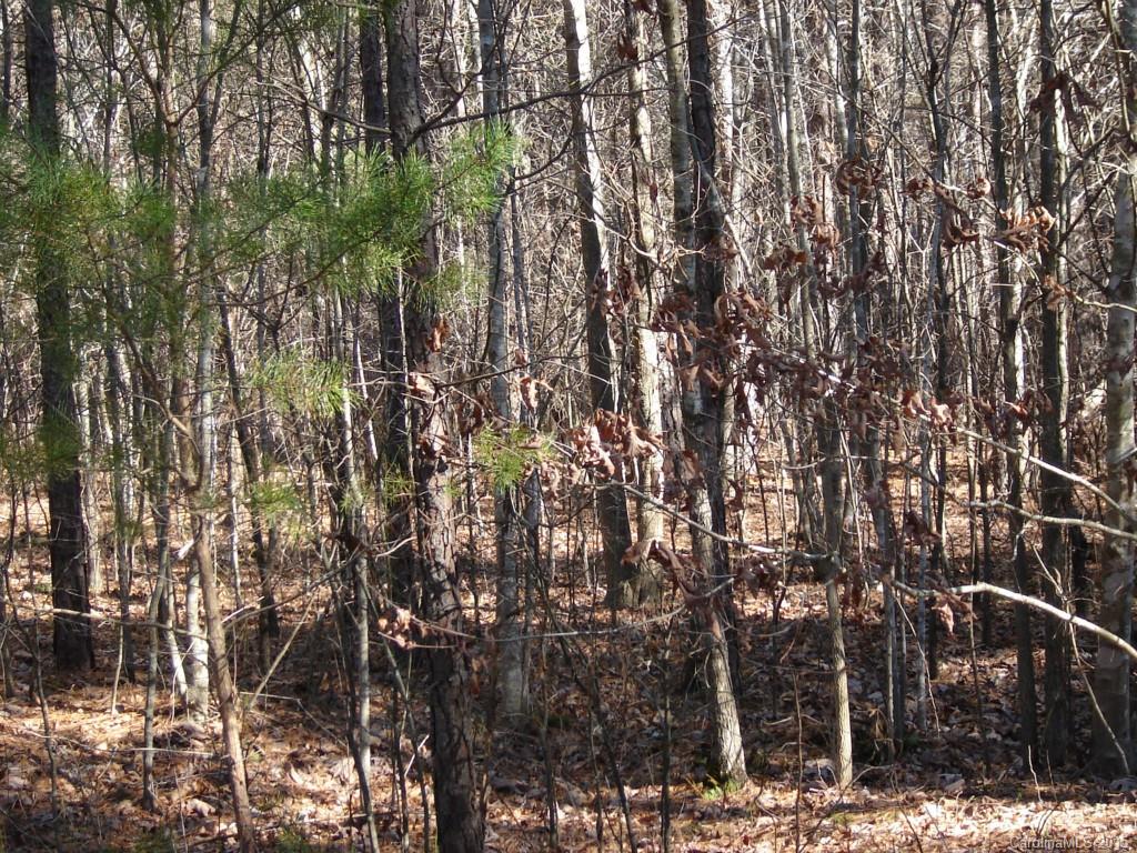 Lot 32 Plainview Road Monroe, NC 28110 - Photo 4 of 9 Gallery Image 4