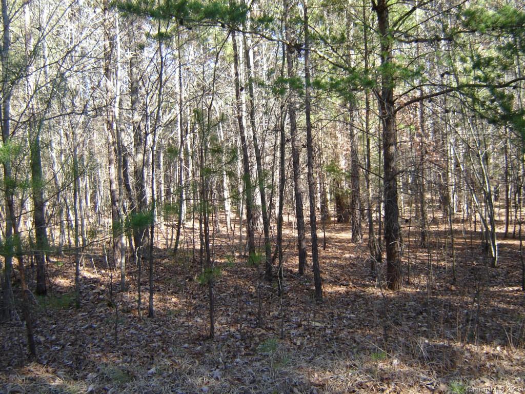 Lot 32 Plainview Road Monroe, NC 28110 - Photo 9 of 9 Gallery Image 9