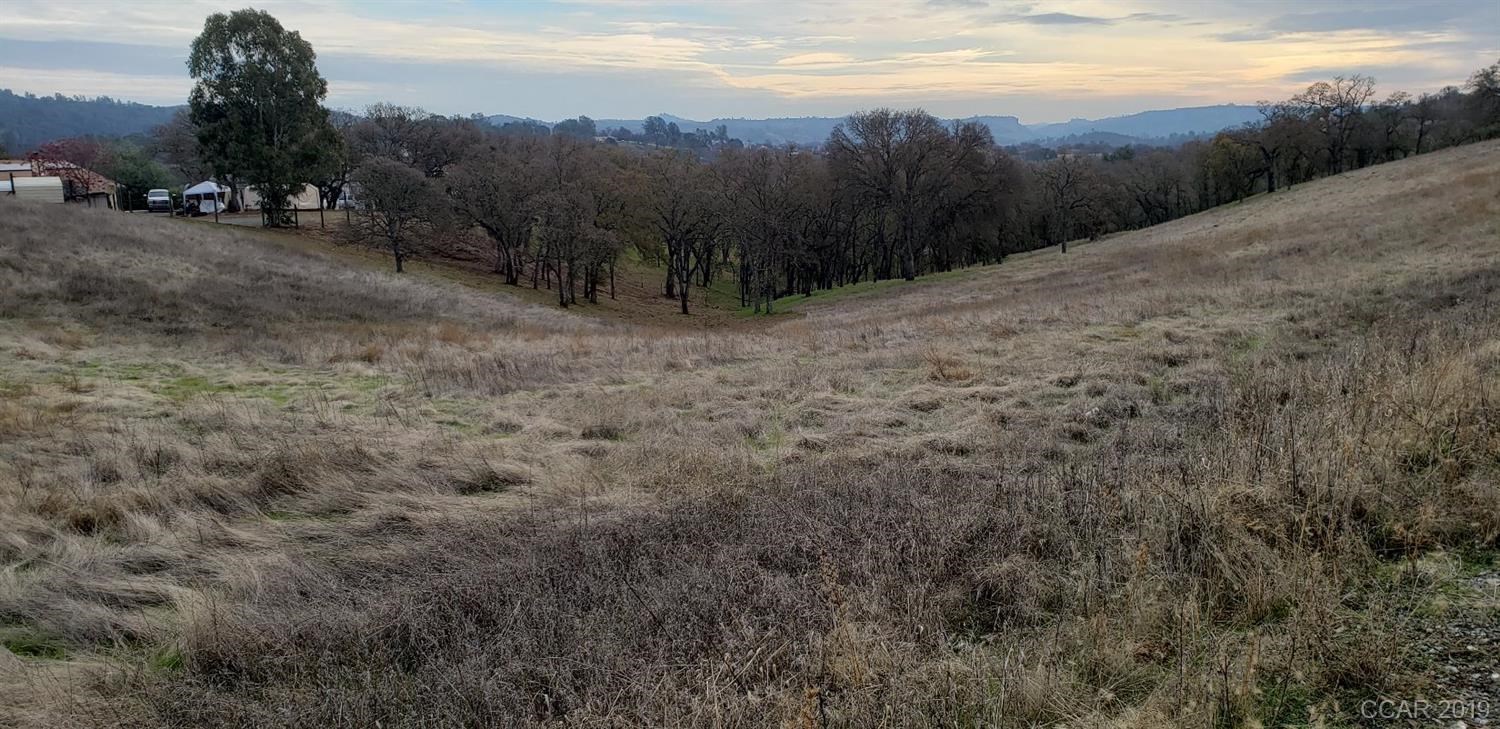 1634 Choctaw Road Copperopolis, CA 95228 - Photo 1 of 1 a view of a dry yard with trees