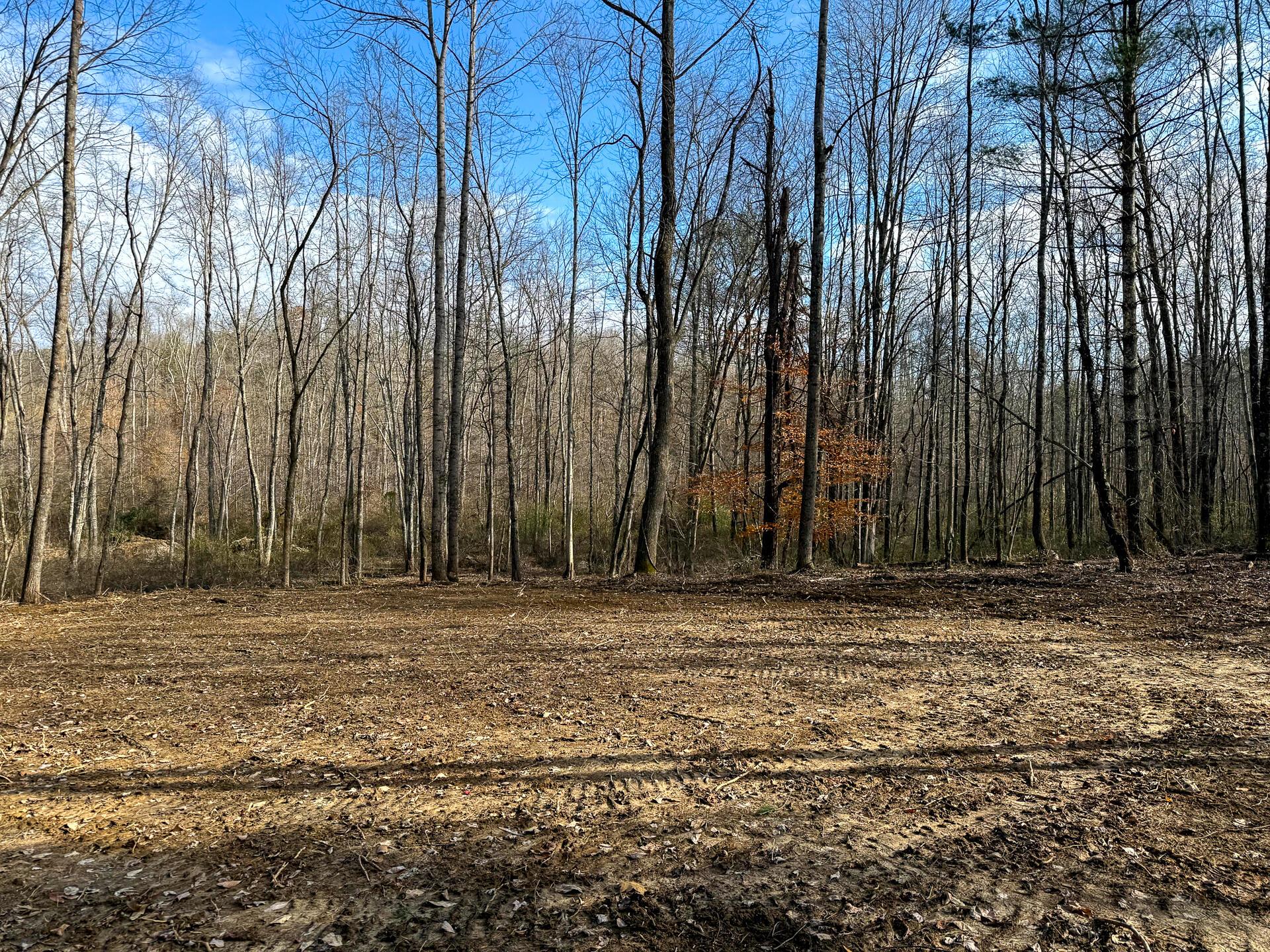 0 Dutch Ridge Road Southeast, Unit WOODS TURKEY RUN TRACT 4) New Lexington, OH 43764 - Photo 43 of 58 CT-43