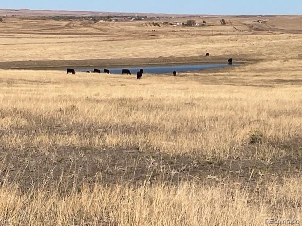 a view of an ocean and beach