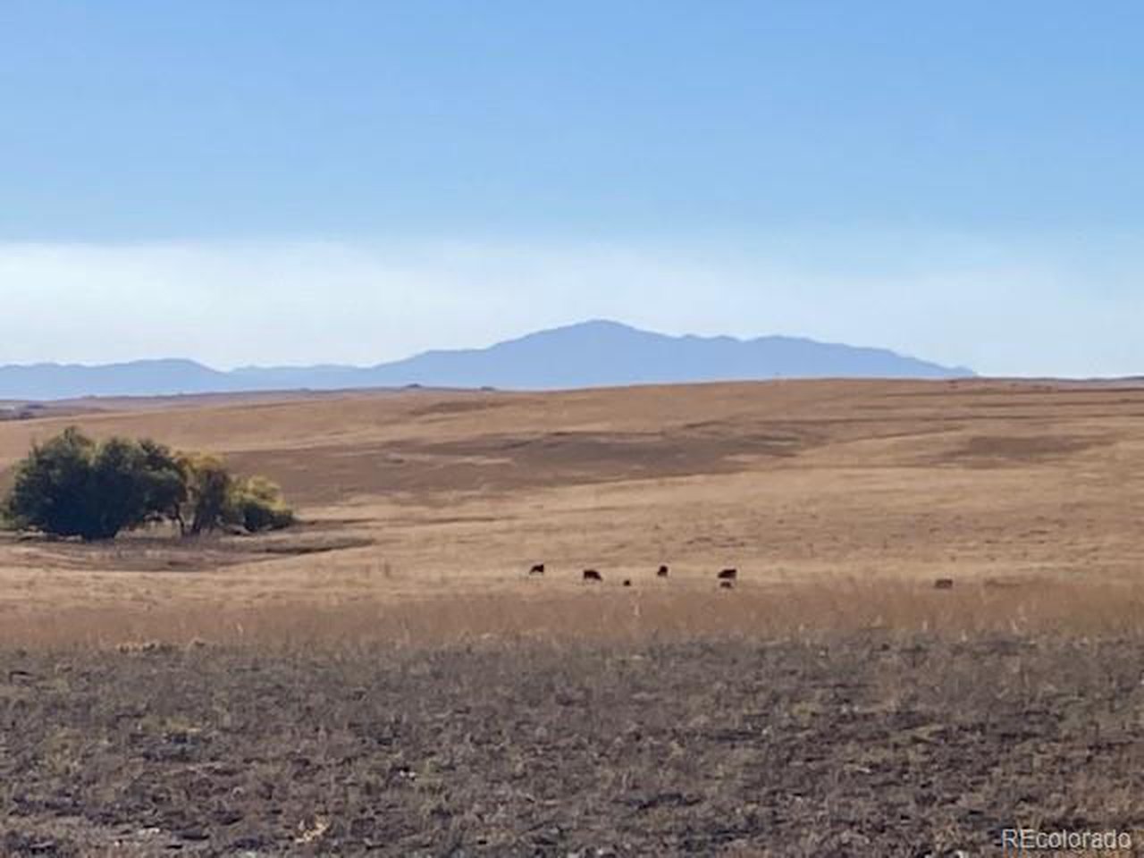 24 E Highway Calhan, CO 80808 - Photo 2 of 5 a view of an ocean beach and mountain