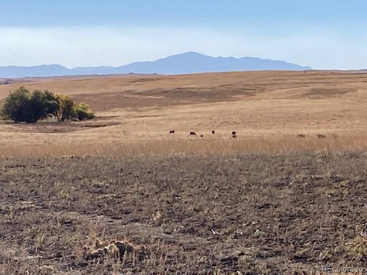 24 E Highway Calhan, CO 80808 - Photo 3 of 5 a view of an ocean and mountain