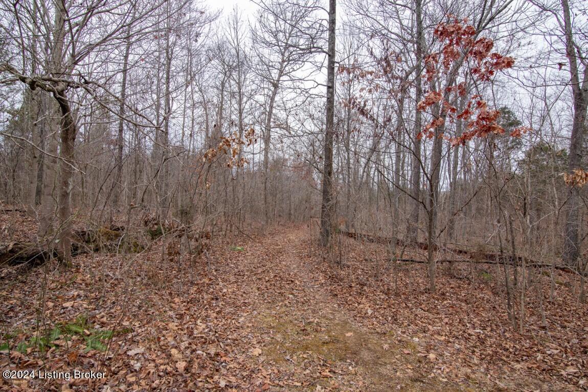 117 Rhodelia Road Payneville, KY 40157 - Photo 46 of 69 117 Rhodelia Road-45