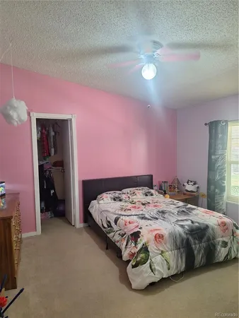 a view of a backyard with plants and garden