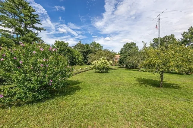 a backyard of a house with lots of green space