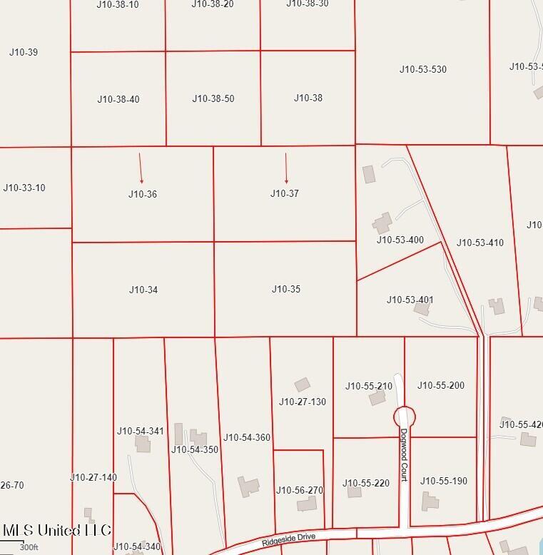 Ridgeside Drive Brandon, MS 39042 - Photo 2 of 2 Photo 2