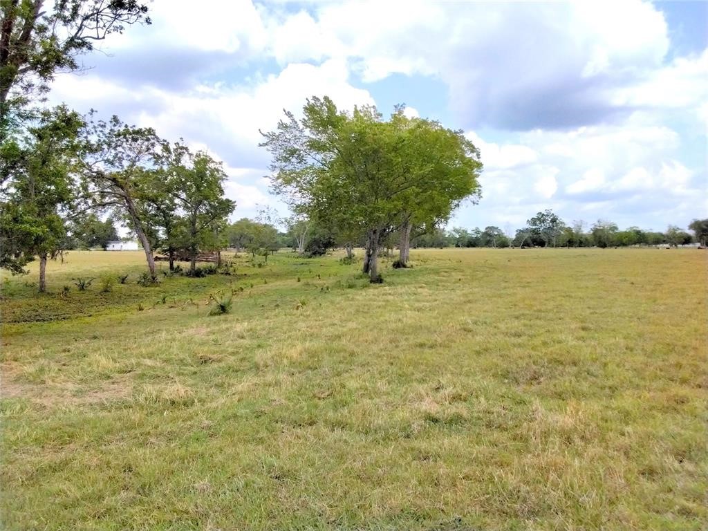 1137 Cr 488 Sweeny Tx 77480 Sweeny, TX 77480 - Photo 6 of 10