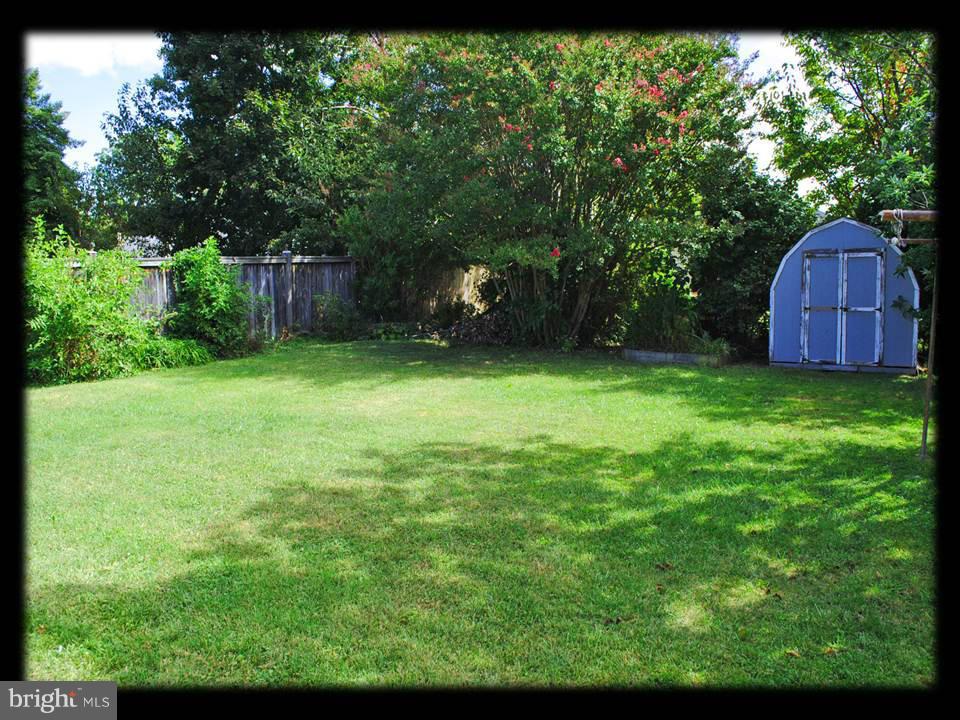 703 Mace Avenue Baltimore, MD 21221 - Photo 15 of 15 PRIVATE BACK YARD
