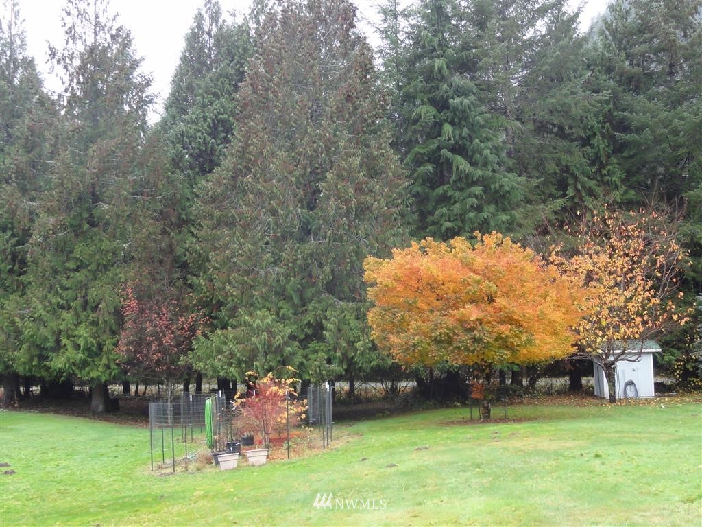 238 A Baker Road Randle, WA 98377 - Photo 18 of 25 Gallery Image 18