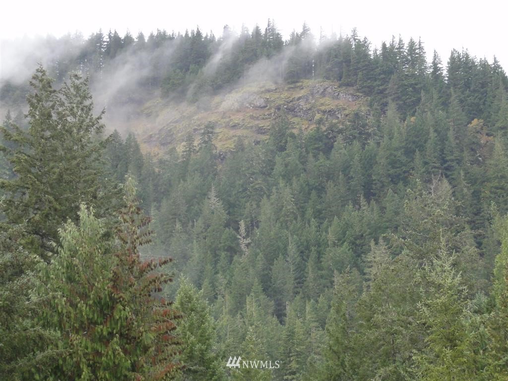 238 A Baker Road Randle, WA 98377 - Photo 20 of 25 Gallery Image 20