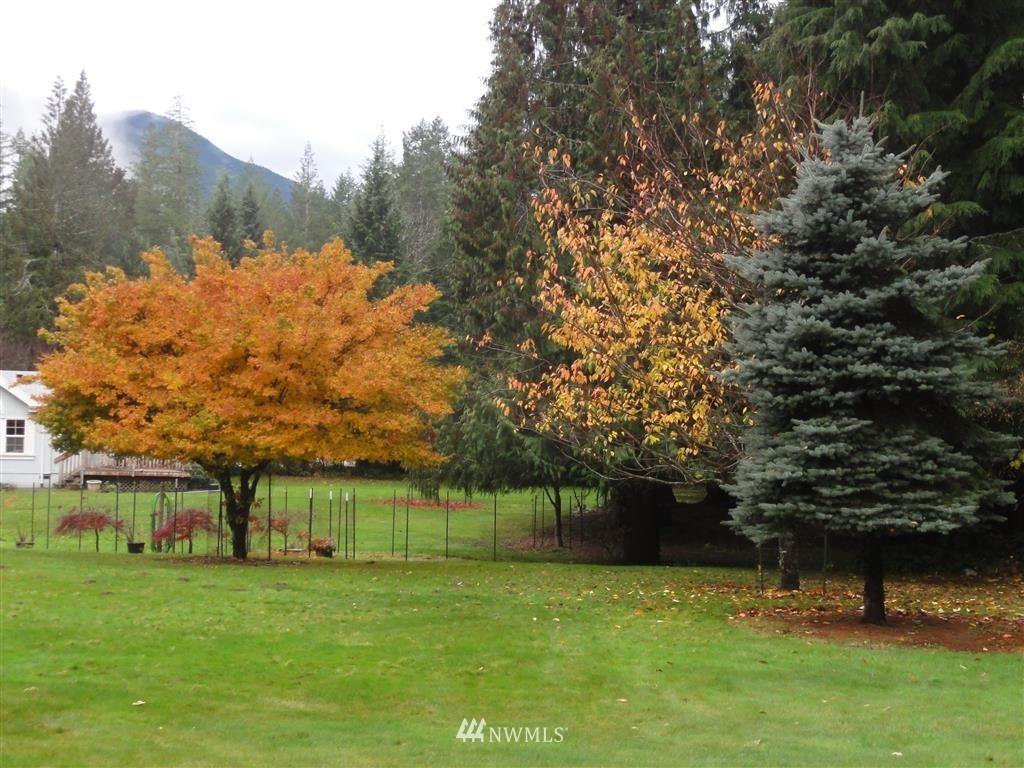 238 A Baker Road Randle, WA 98377 - Photo 21 of 25 Gallery Image 21