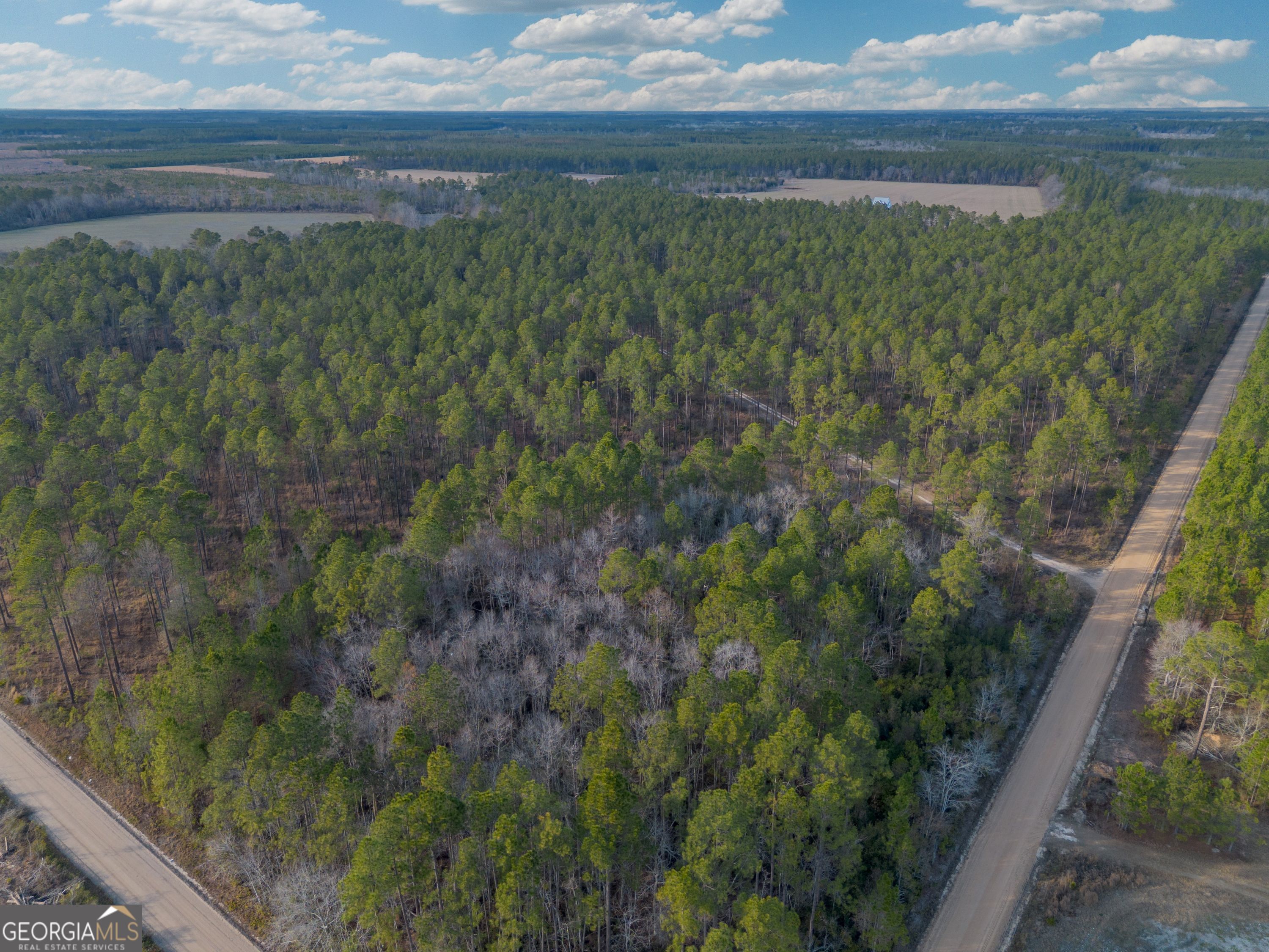 5 Reddish Road Odum, GA 31555 - Photo 1 of 27