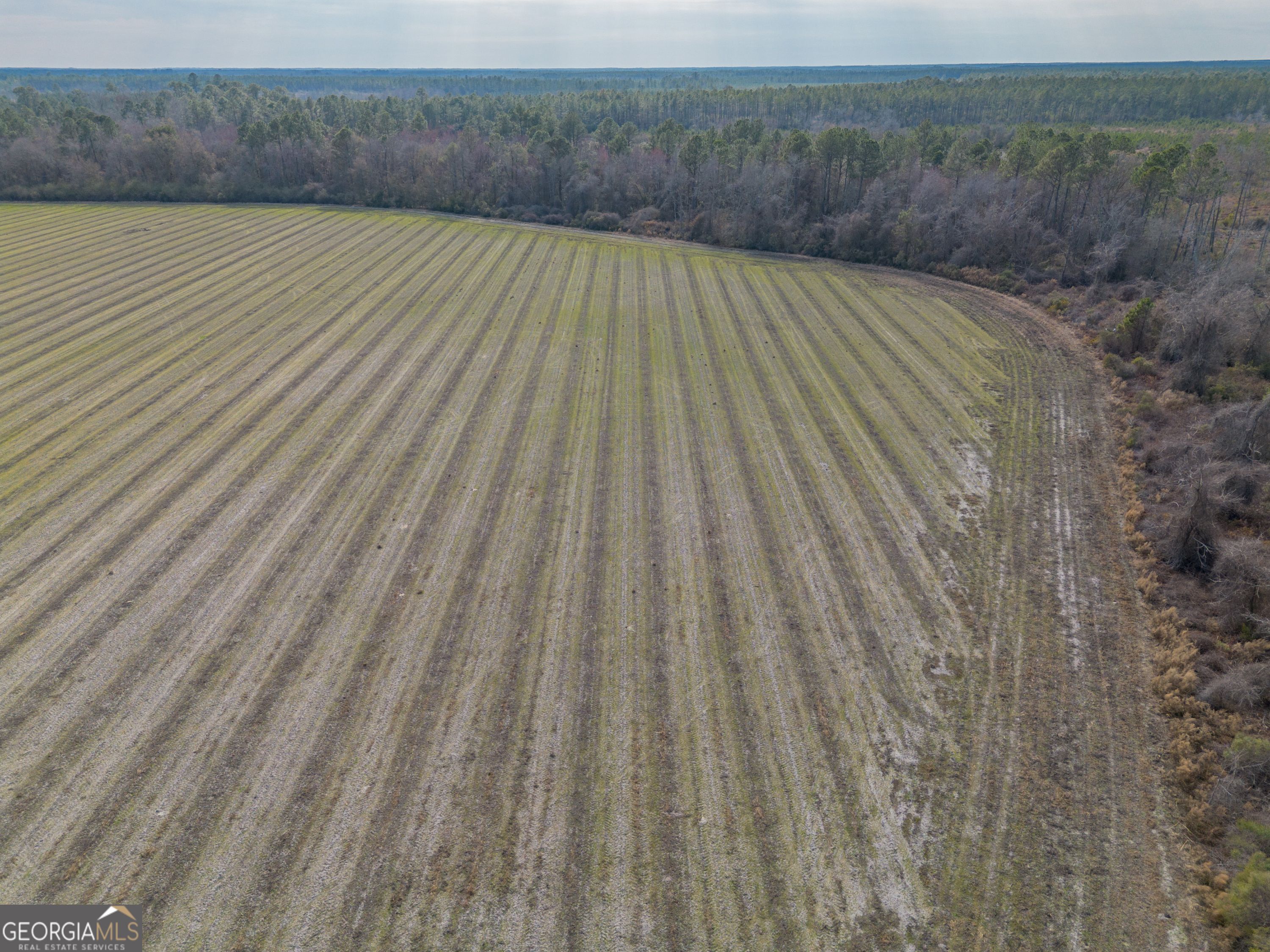 5 Reddish Road Odum, GA 31555 - Photo 11 of 27