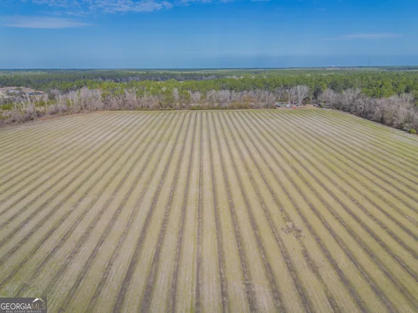 $561,875 | 5 Reddish Road, Odum, GA 31555