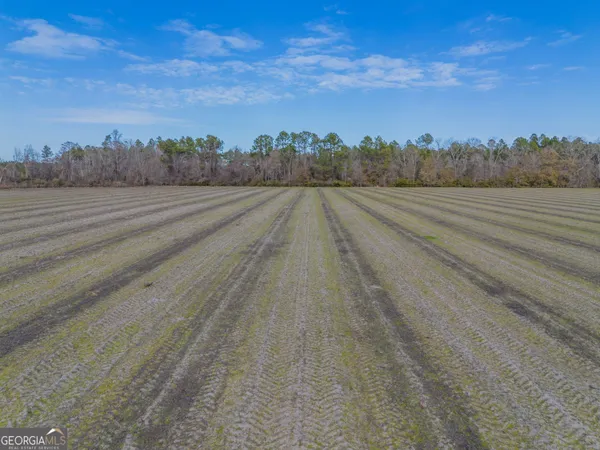 $561,875 | 5 Reddish Road, Odum, GA 31555