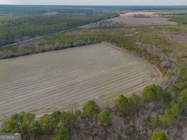 $561,875 | 5 Reddish Road, Odum, GA 31555