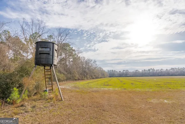 $561,875 | 5 Reddish Road, Odum, GA 31555