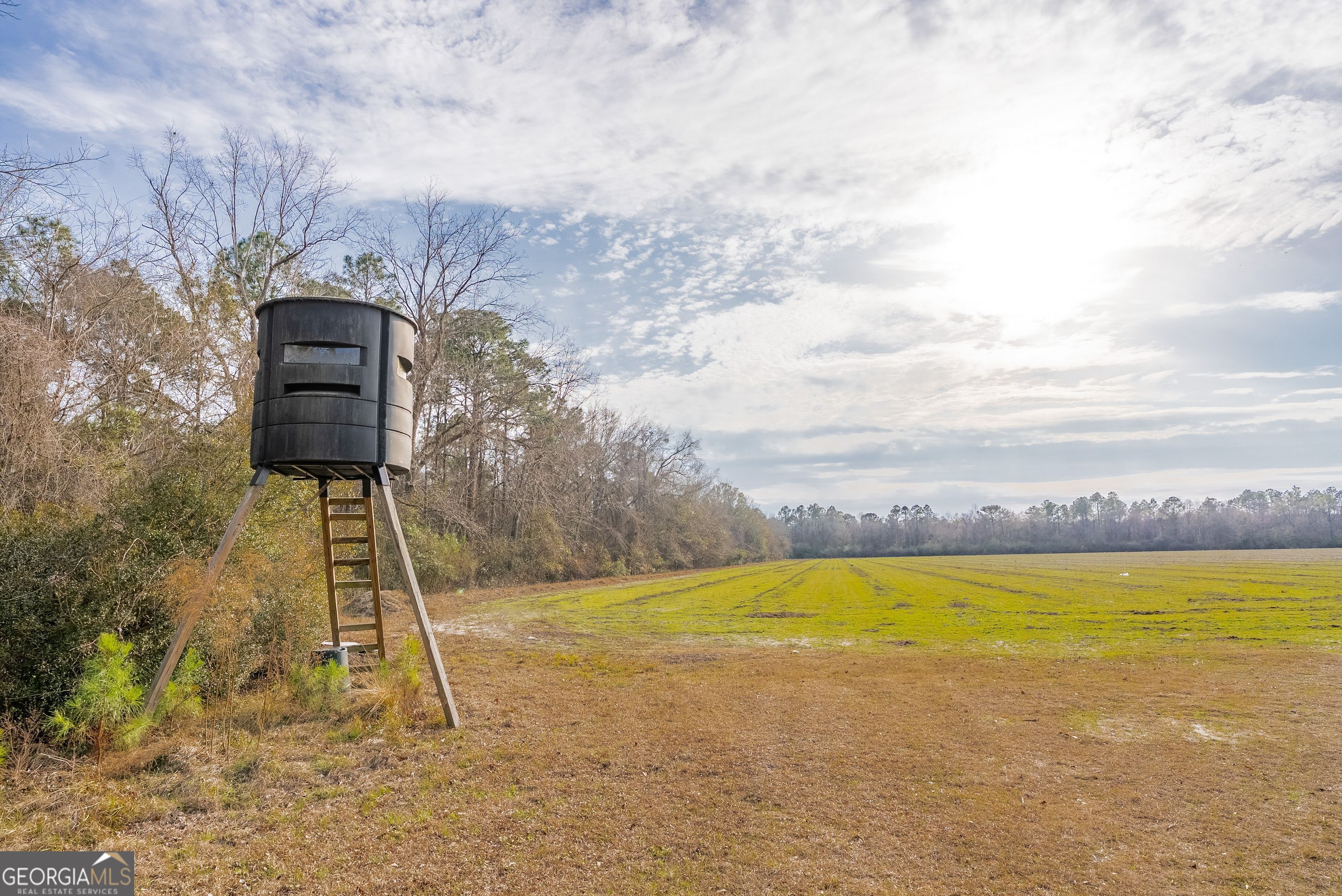 5 Reddish Road Odum, GA 31555 - Photo 19 of 27