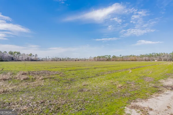 $561,875 | 5 Reddish Road, Odum, GA 31555