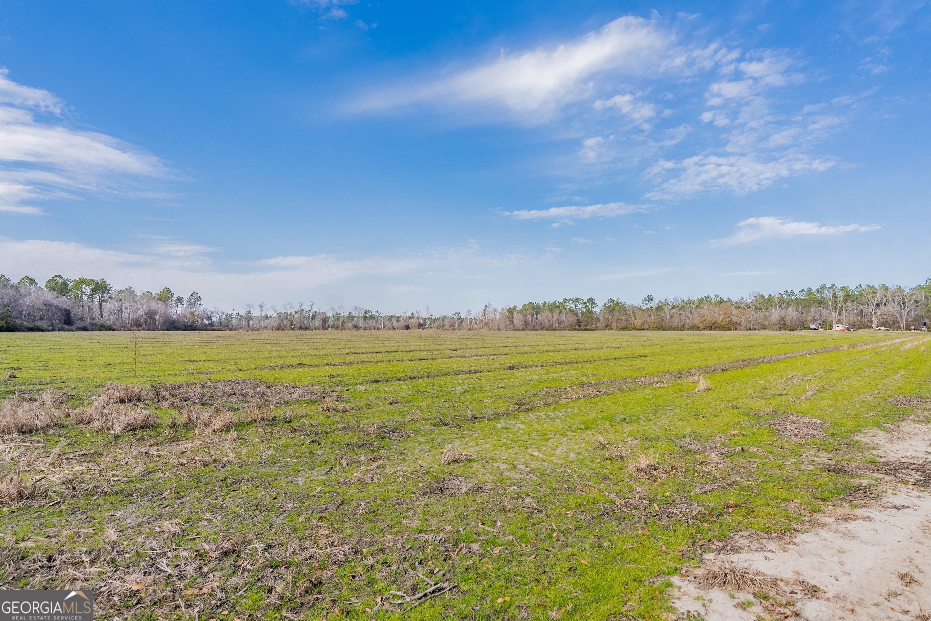 5 Reddish Road Odum, GA 31555 - Photo 20 of 27