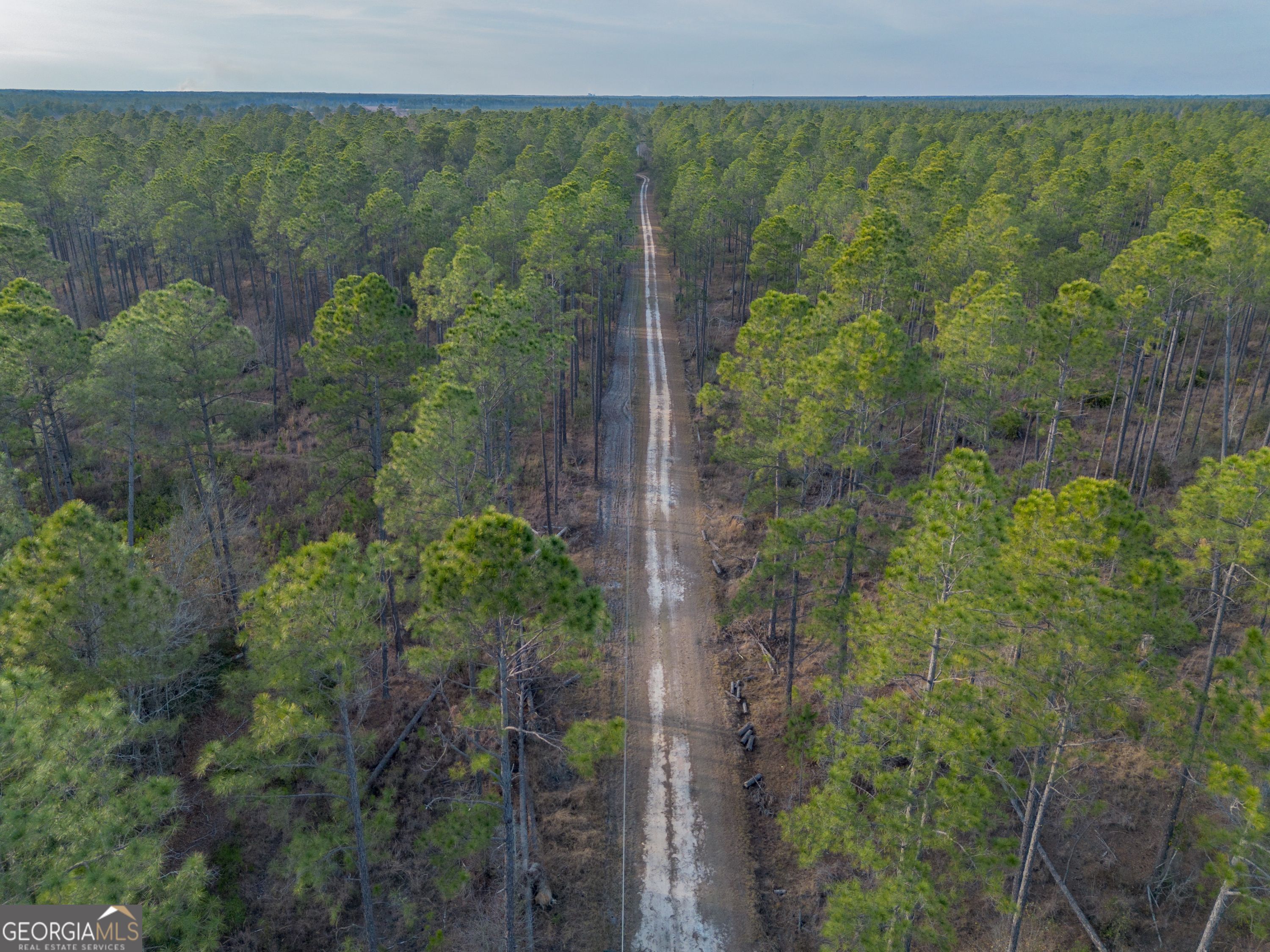 5 Reddish Road Odum, GA 31555 - Photo 2 of 27