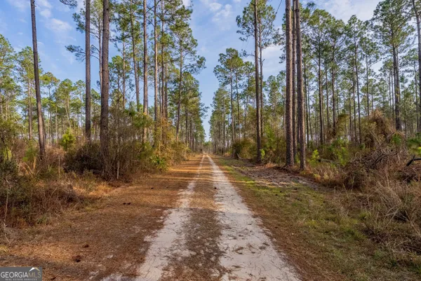 $561,875 | 5 Reddish Road, Odum, GA 31555