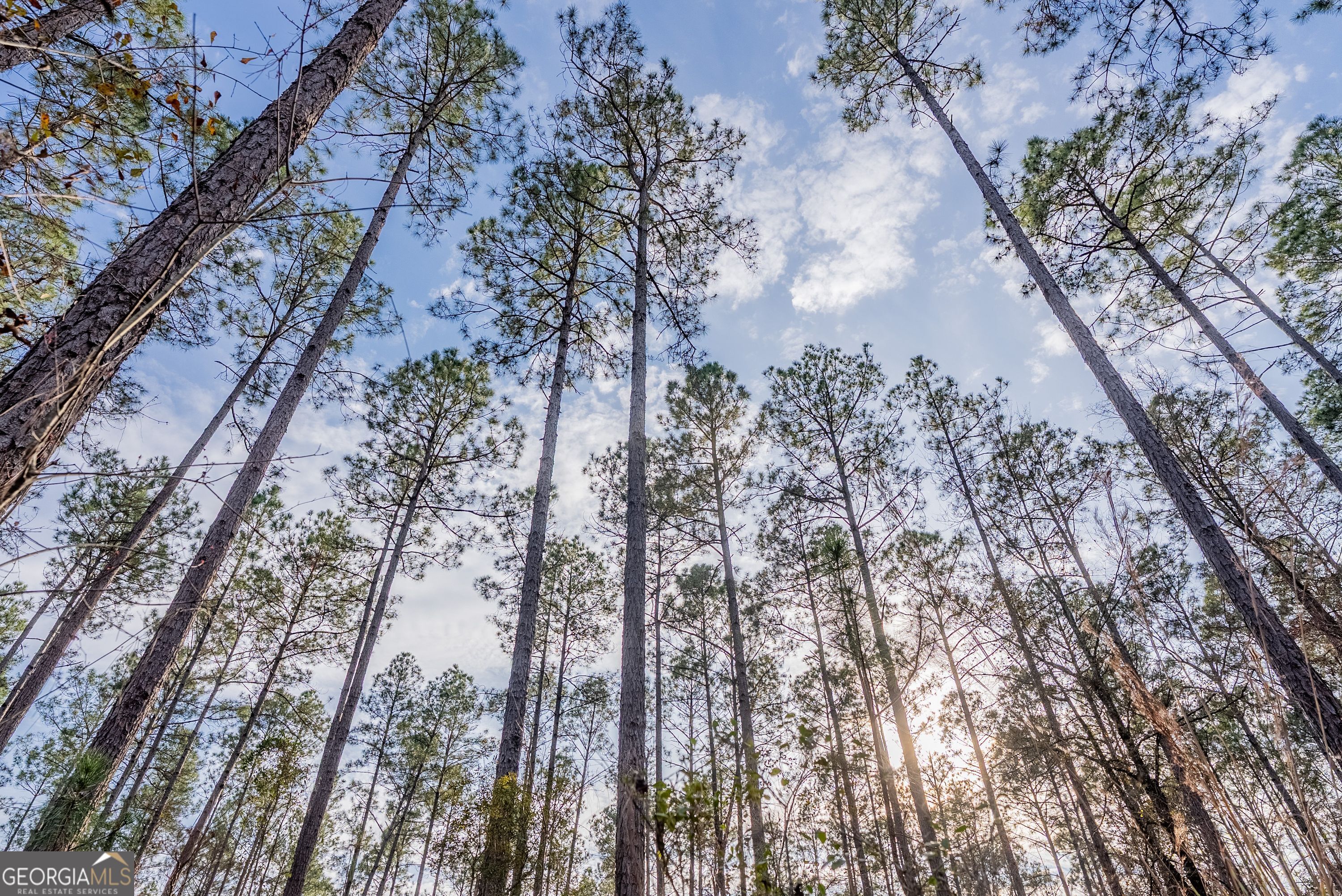 5 Reddish Road Odum, GA 31555 - Photo 25 of 27