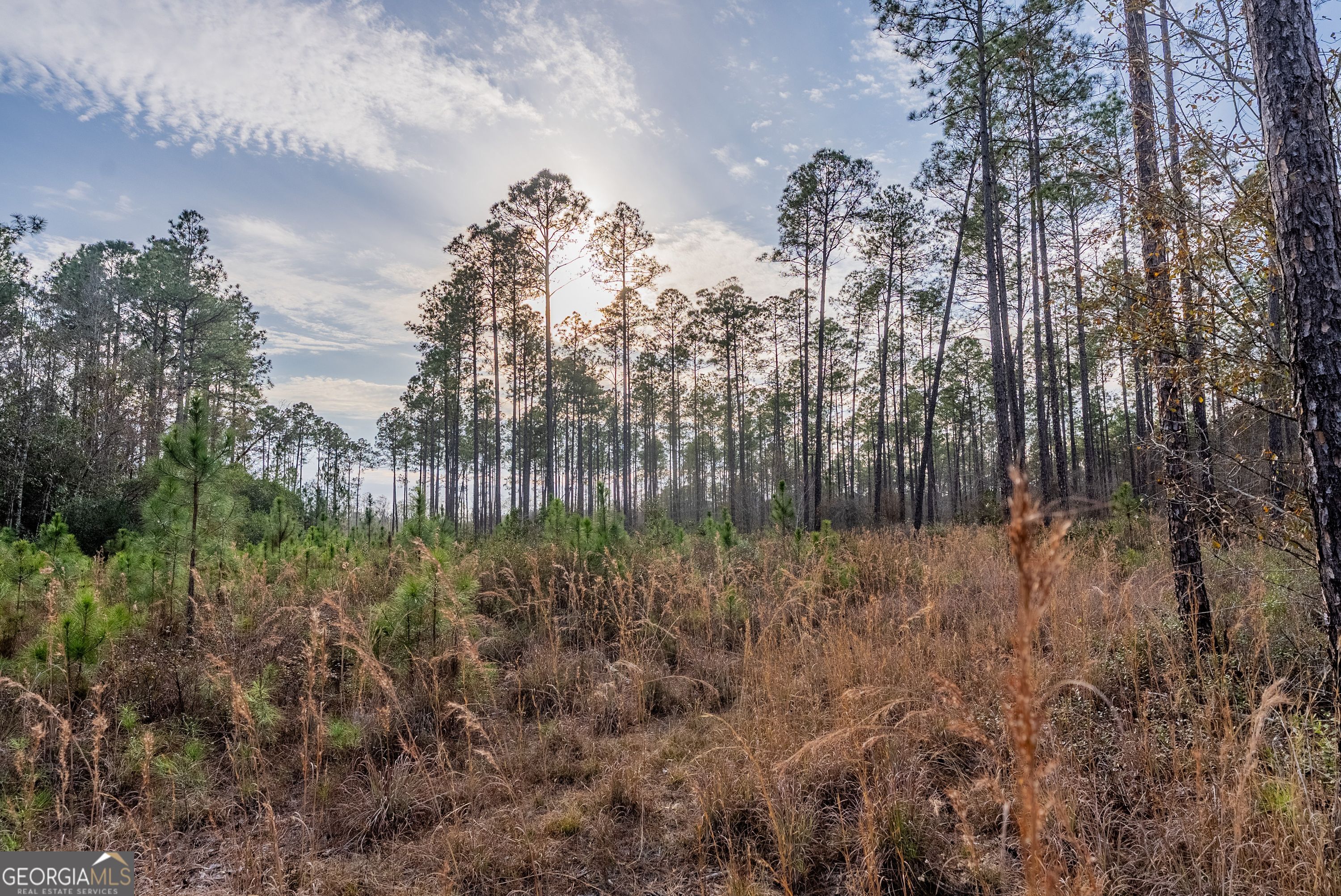 5 Reddish Road Odum, GA 31555 - Photo 26 of 27