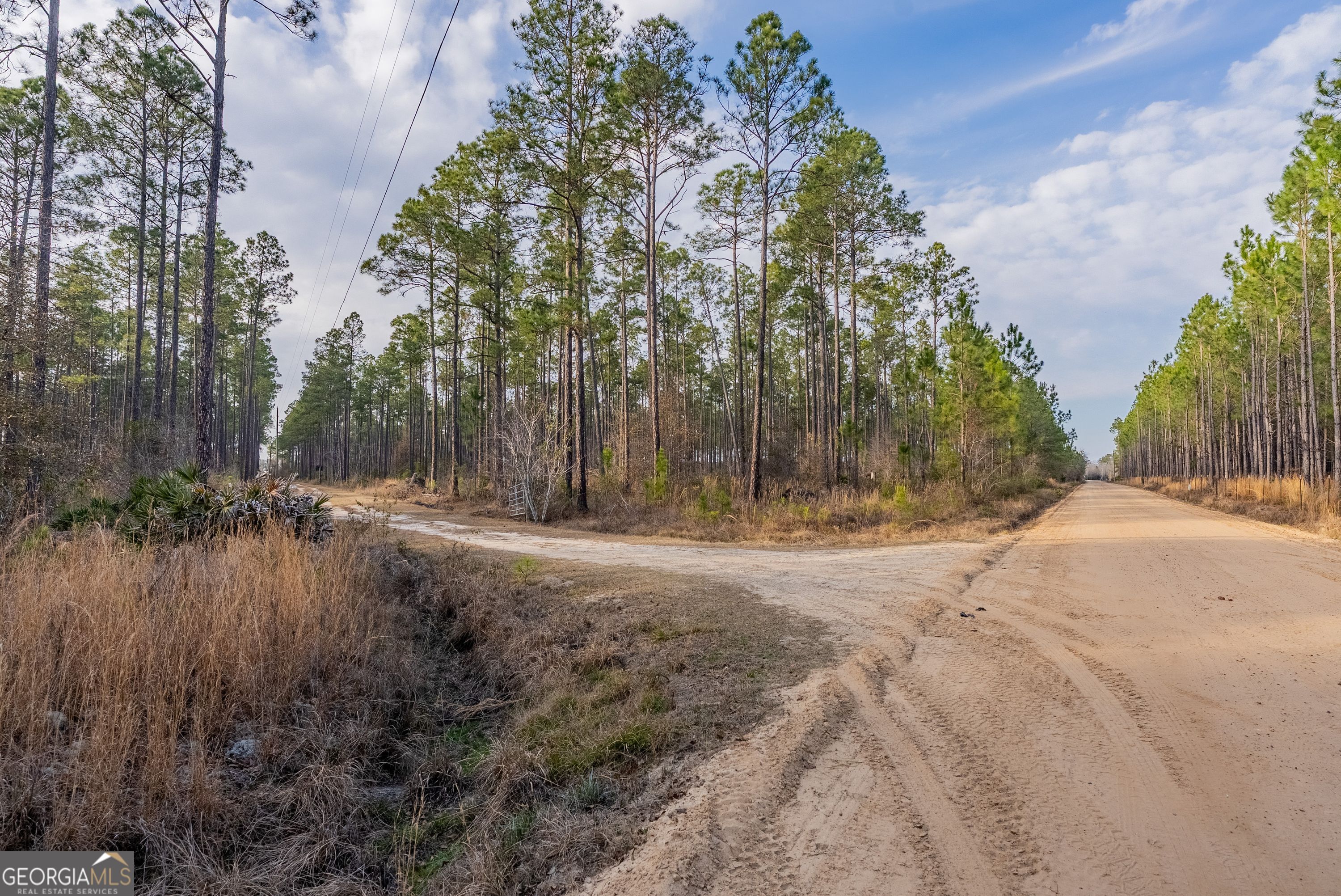 5 Reddish Road Odum, GA 31555 - Photo 27 of 27