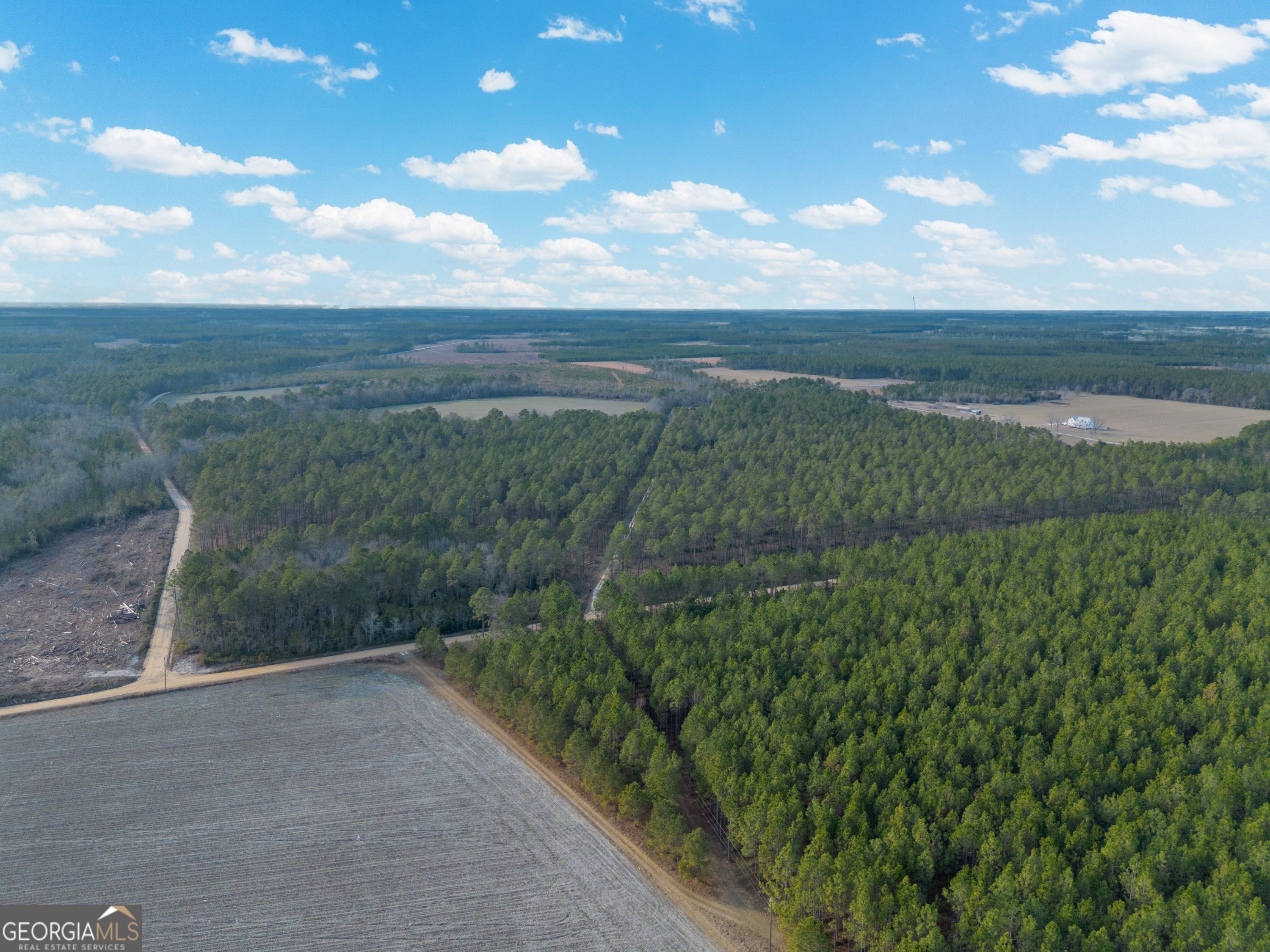 5 Reddish Road Odum, GA 31555 - Photo 4 of 27