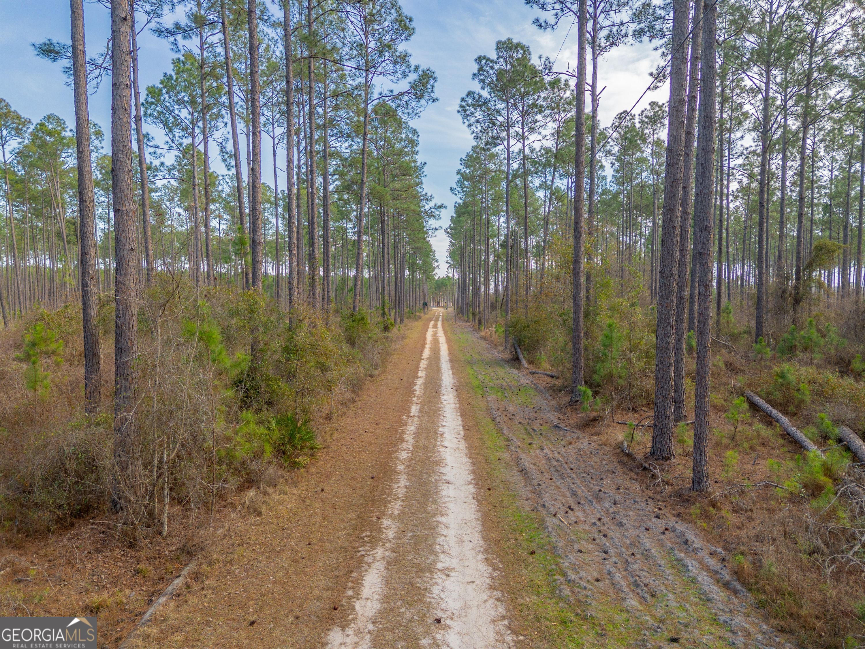 5 Reddish Road Odum, GA 31555 - Photo 5 of 27