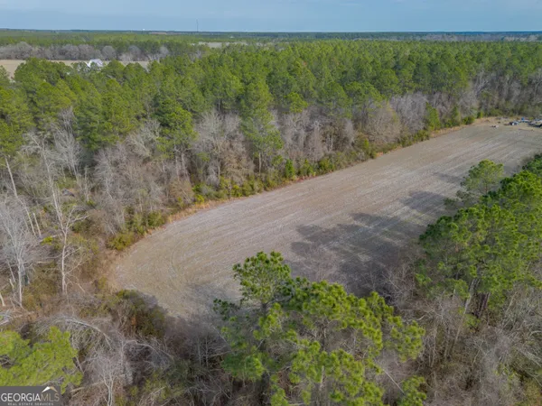 $561,875 | 5 Reddish Road, Odum, GA 31555