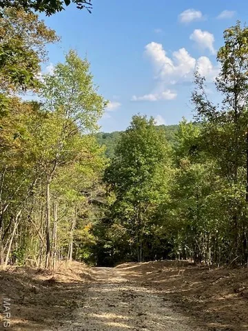 $45,000 | 10 Church Road, Annapolis, MO 63620