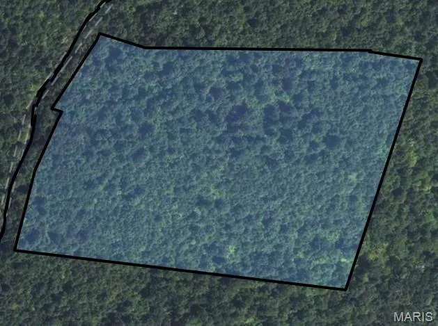 $45,000 | 10 Church Road, Annapolis, MO 63620