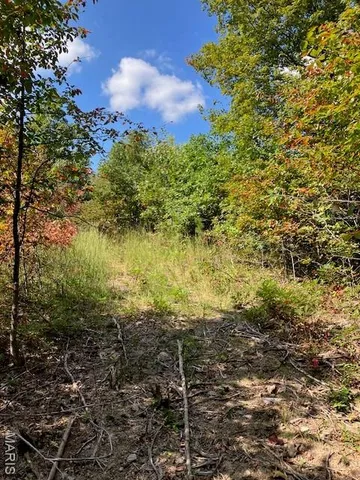 $45,000 | 10 Church Road, Annapolis, MO 63620