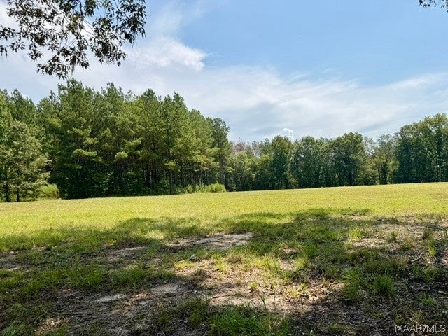 0 County Road 2 Road Hardaway, AL 36039 - Photo 17 of 24 Gallery Image 17