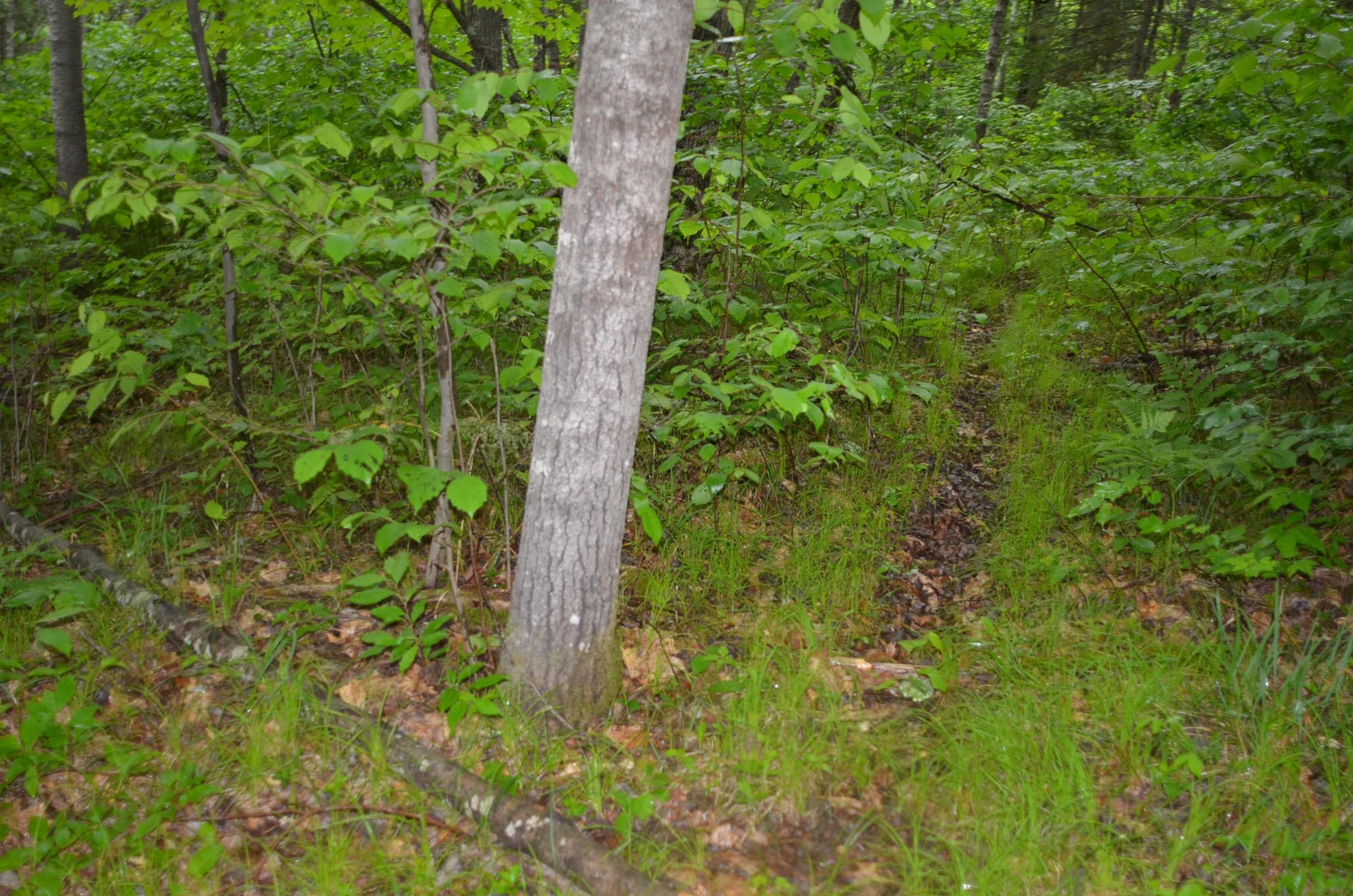4140 Poskie Road Rhinelander, WI 54501 - Photo 16 of 58