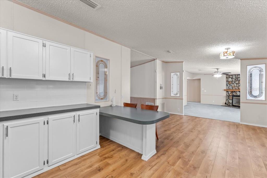 11919 Rhodine Road Riverview, FL 33579 - Photo 15 of 78