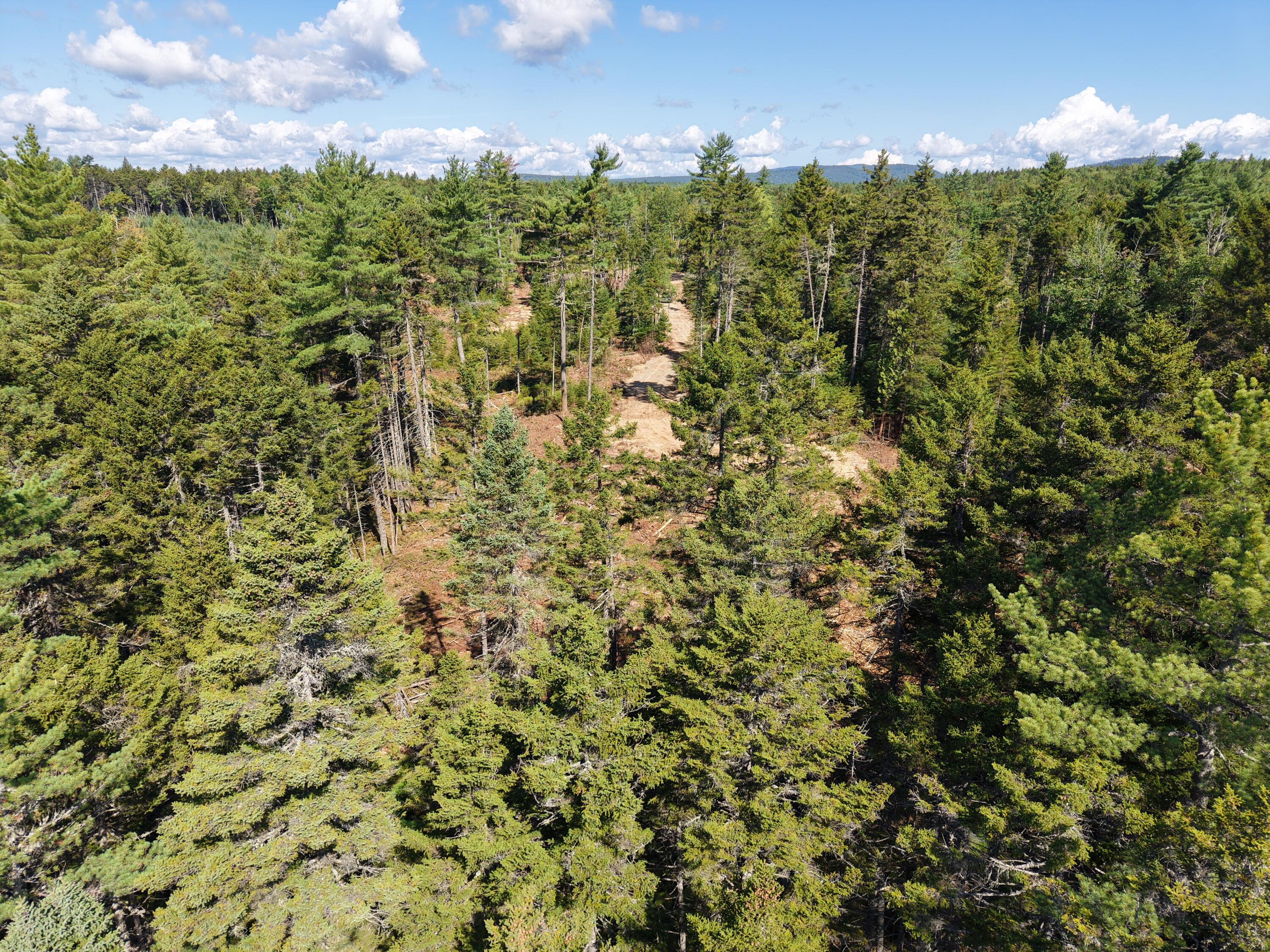 Ms03-l17.3 Middle Carry Pond Road New Portland, ME 04961 - Photo 24 of 25 DJI_20260821101436_0016_D