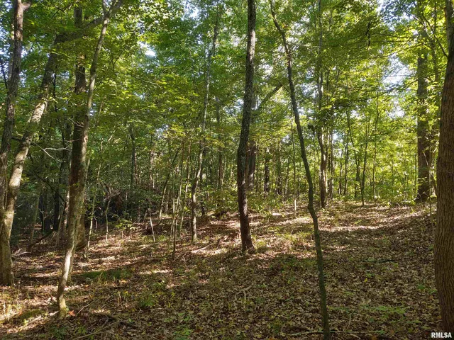 $149,000 | 3830 Gum Springs Road, Ozark, IL 62972