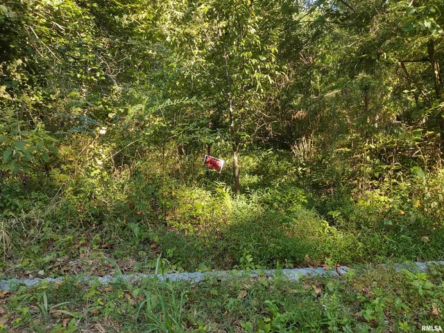 $149,000 | 3830 Gum Springs Road, Ozark, IL 62972