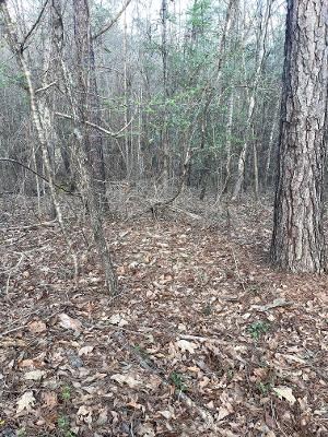 0 Pebble Cove Road Abbeville, AL 36310 - Photo 5 of 5