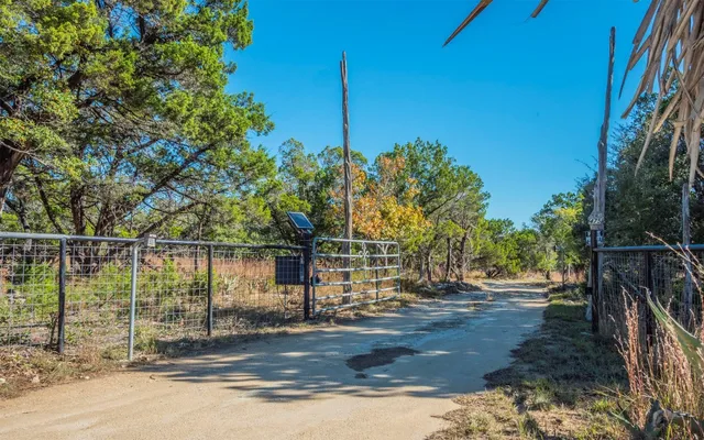 a view of a dry yard with trees